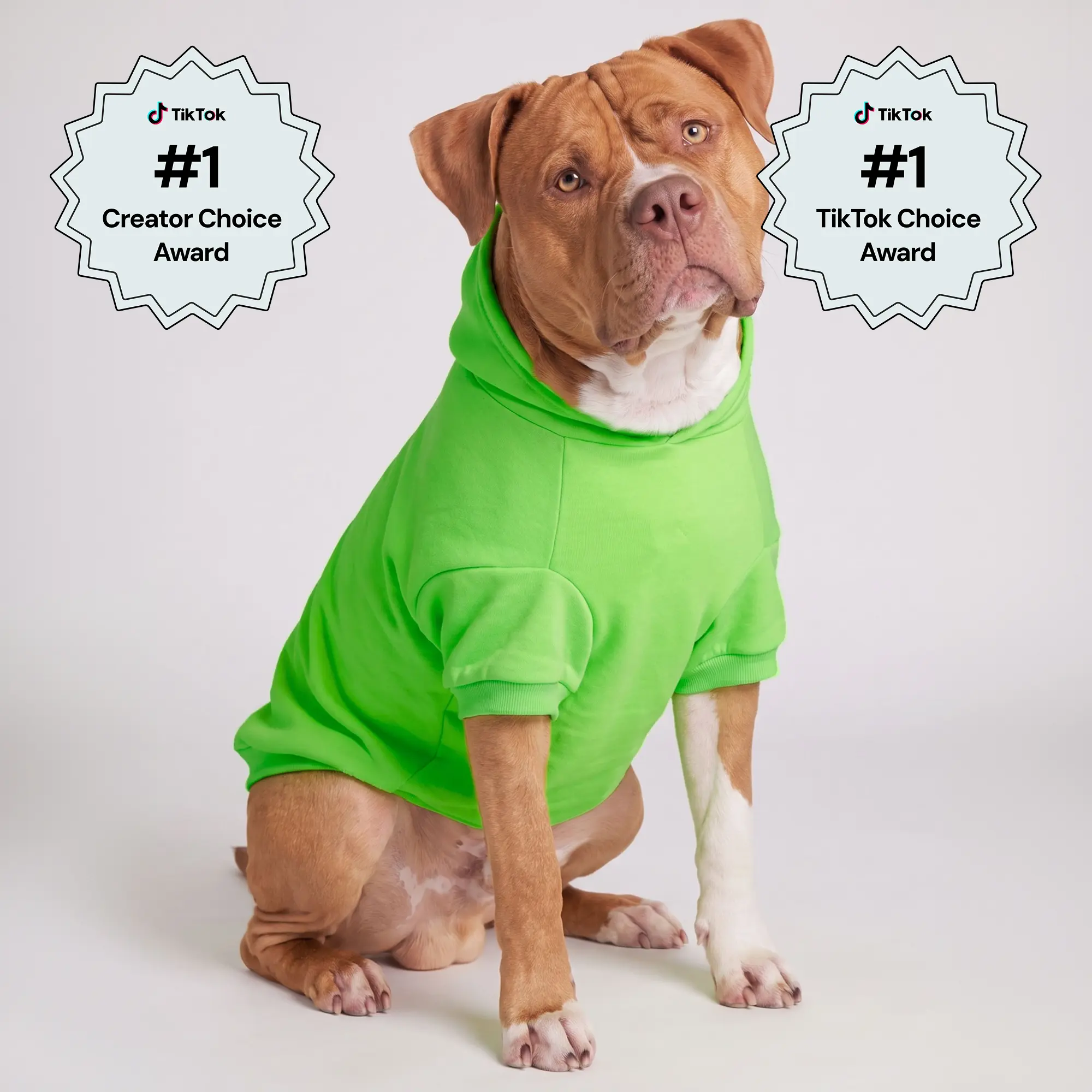 Minimalist Neon Paw-Print Hoodie with Leash Opening