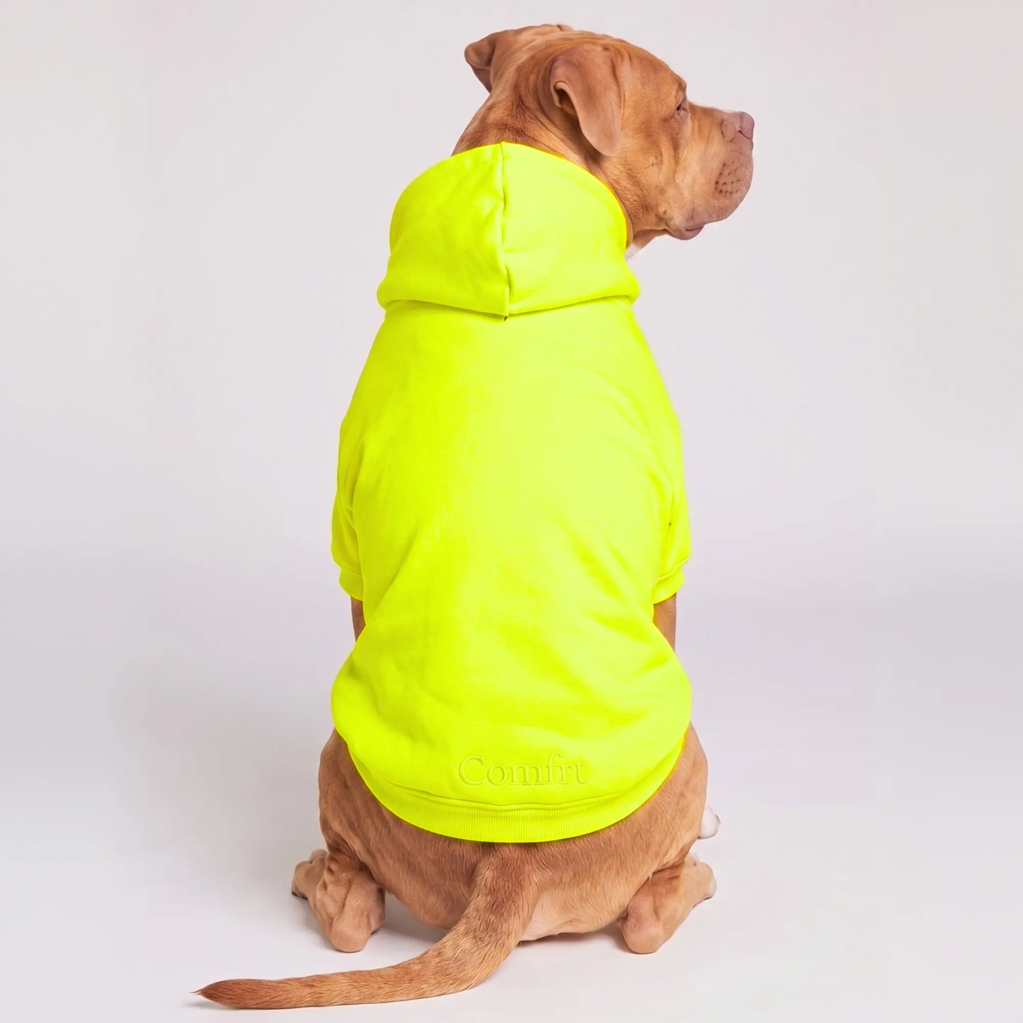 Minimalist Neon Paw-Print Hoodie with Leash Opening