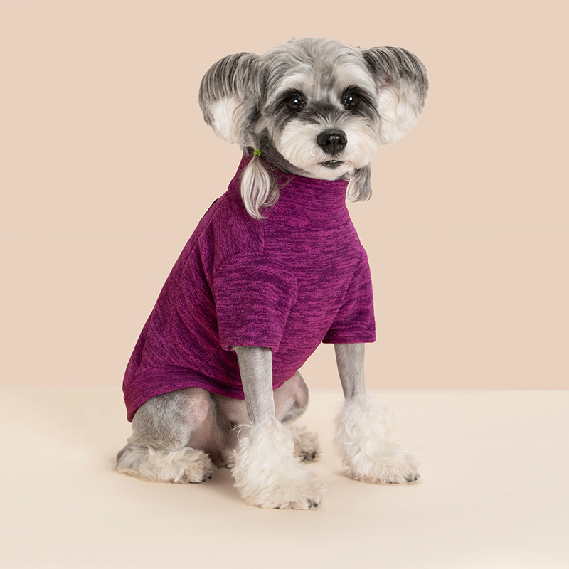 Minimalist Neon Paw-Print Hoodie with Leash Opening