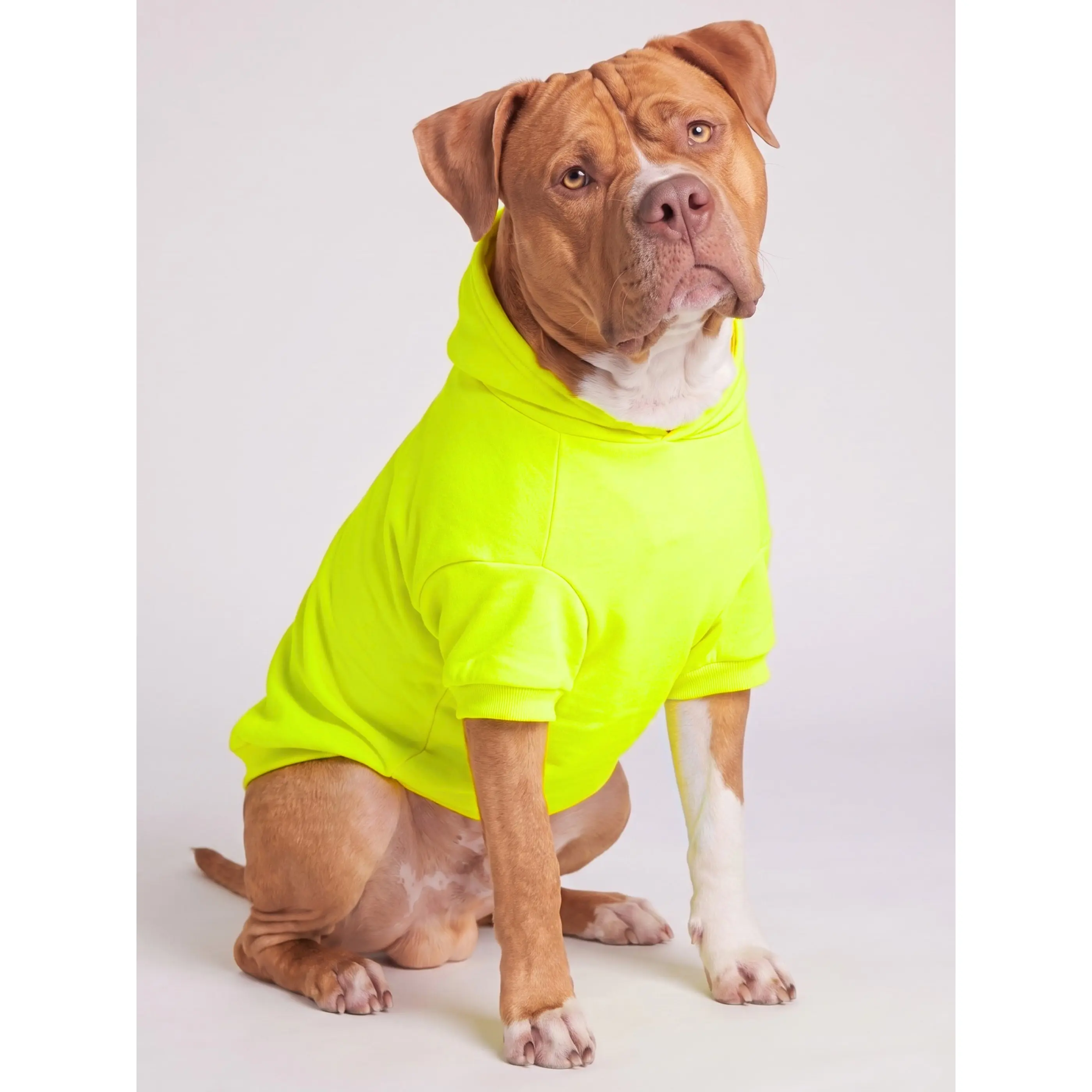 Minimalist Neon Paw-Print Hoodie with Leash Opening