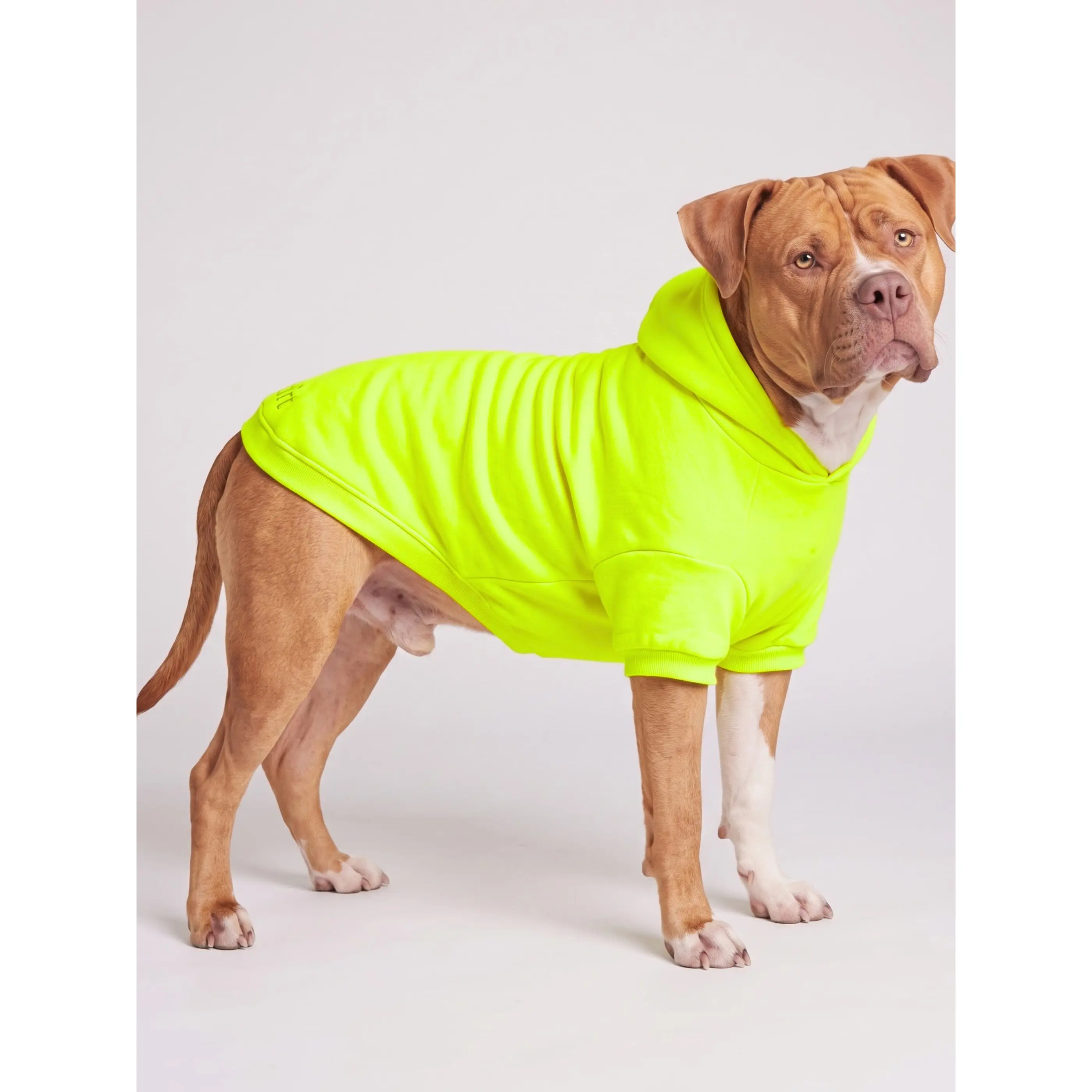 Minimalist Neon Paw-Print Hoodie with Leash Opening