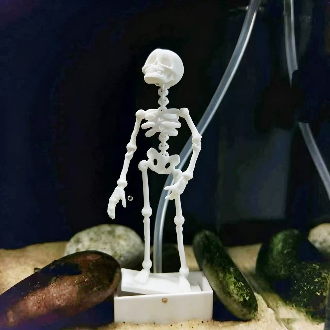 The Dancing Skeleton: A Must-Have for Your Fish Tank