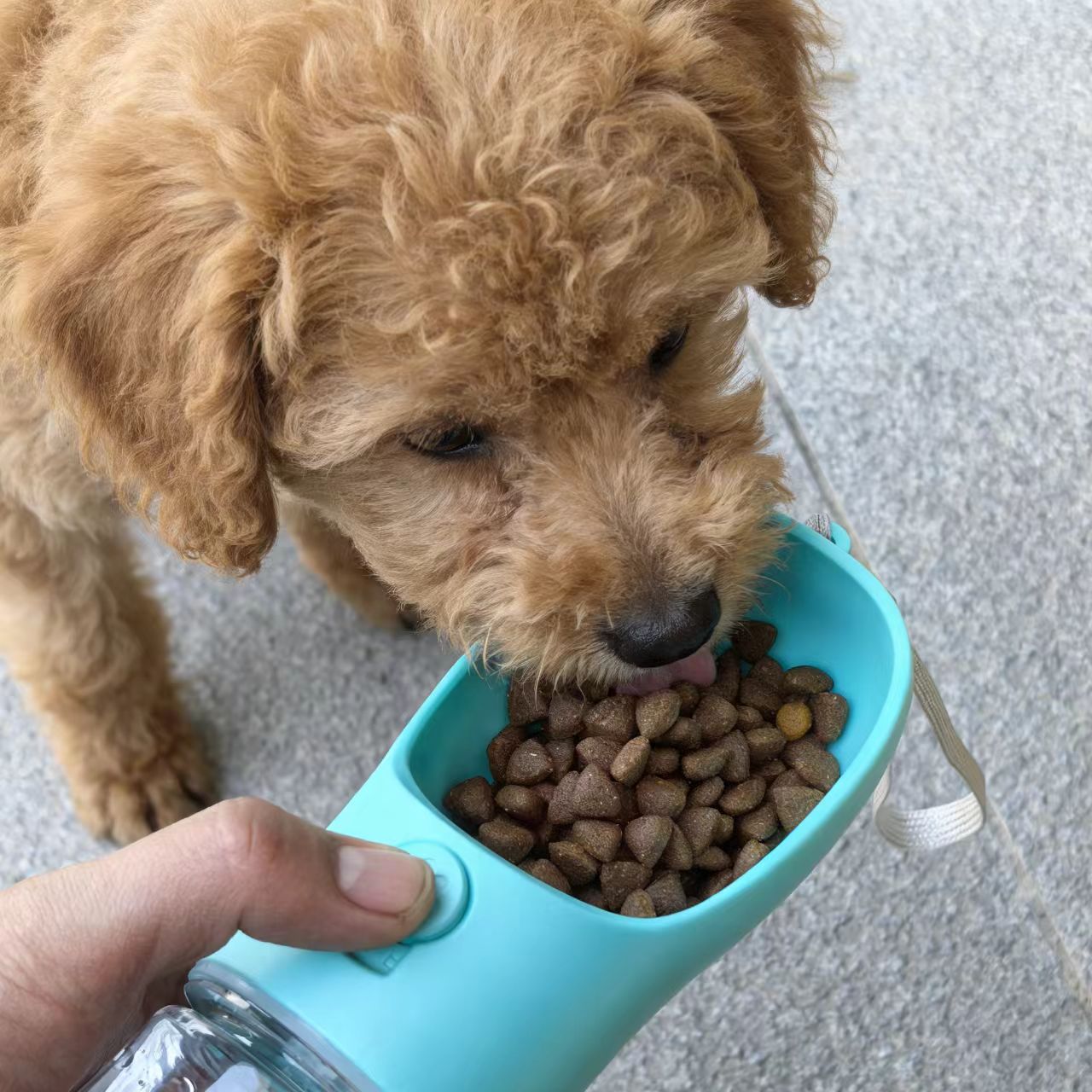 Multifunctional Pet Water Cup, Cat and Dog Supplies, Outdoor Portable Water Bottle, Travel Cup, Multifunctional Pet Water Cup