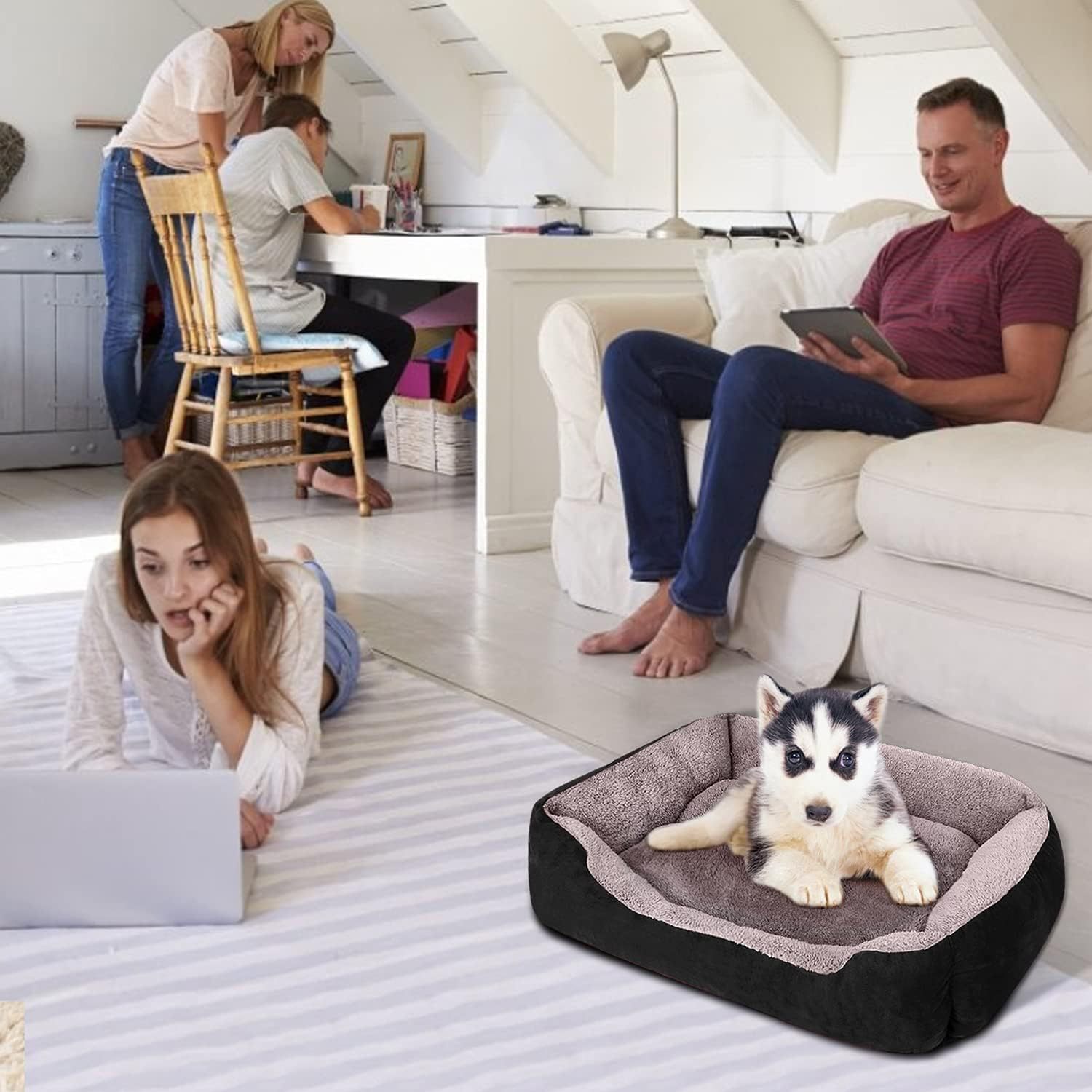All-Season Pet Bed: Square Dog Bed, Cat Bed, Golden Retriever and Poodle Dog Mat, Pet Bed, Winter-Warm Dog Bed