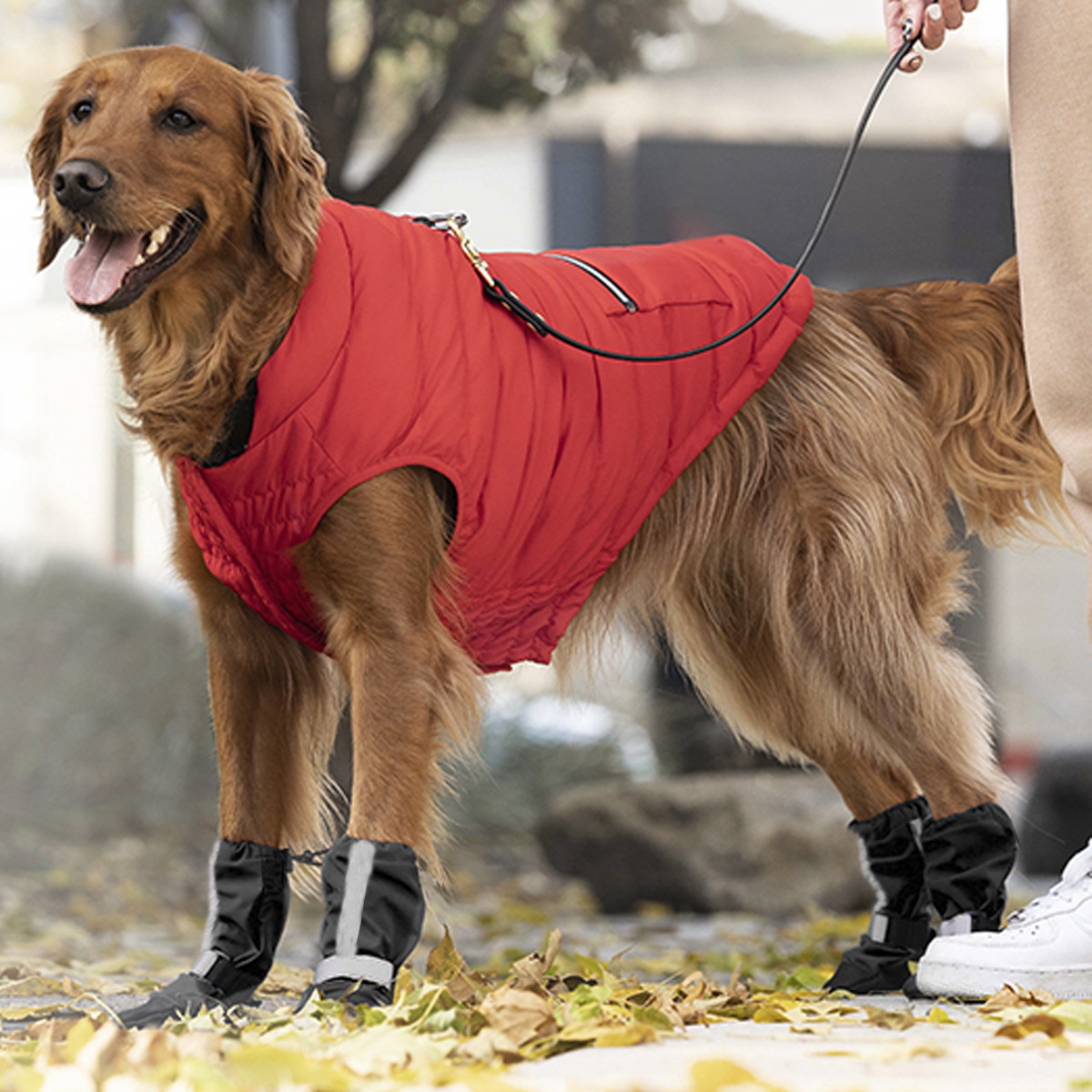 Soft-Soled Dog Boots, Long Boots for Golden Retrievers, Labradors, and Large Dogs—Outdoor Snow Boots, Warm and Waterproof, "Robot" Shoes