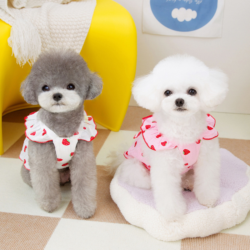 Dog Clothes: Floral Princess Dresses, Cat Spring/Summer Pet Clothing, Cute Dresses, Ladylike Outfits, Leash Accessories