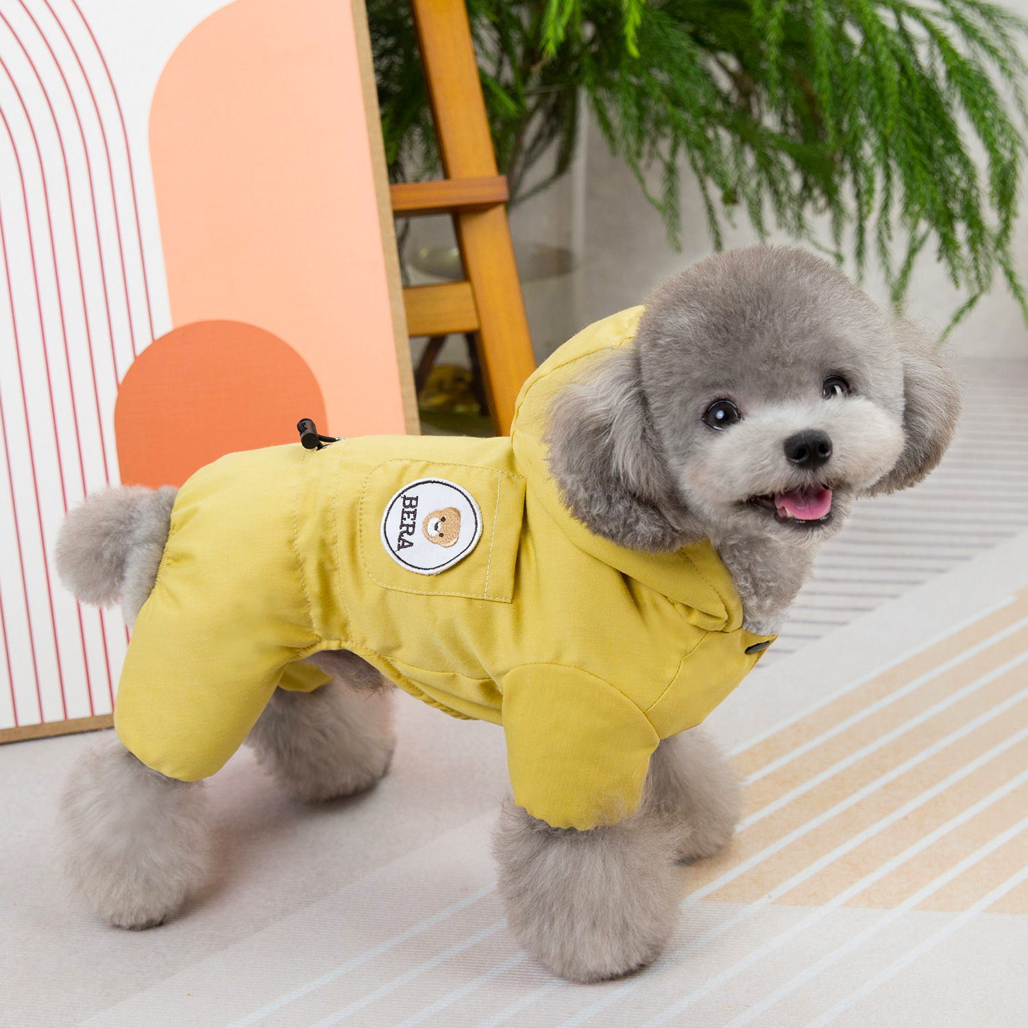 Pet Academy Down Jackets for Teddy, Bichon Frise, Schnauzer, French Bulldog, Dogs, and Cats—Warm Autumn and Winter Clothing for Your Four-Legged Friends