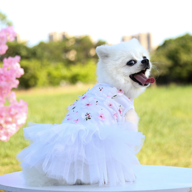 Pet Dogs and Cats, Peach-Blossom Dresses, Clothing for Poodles and Bichons, Pet Supplies, Dog Clothing Manufacturer and Wholesaler